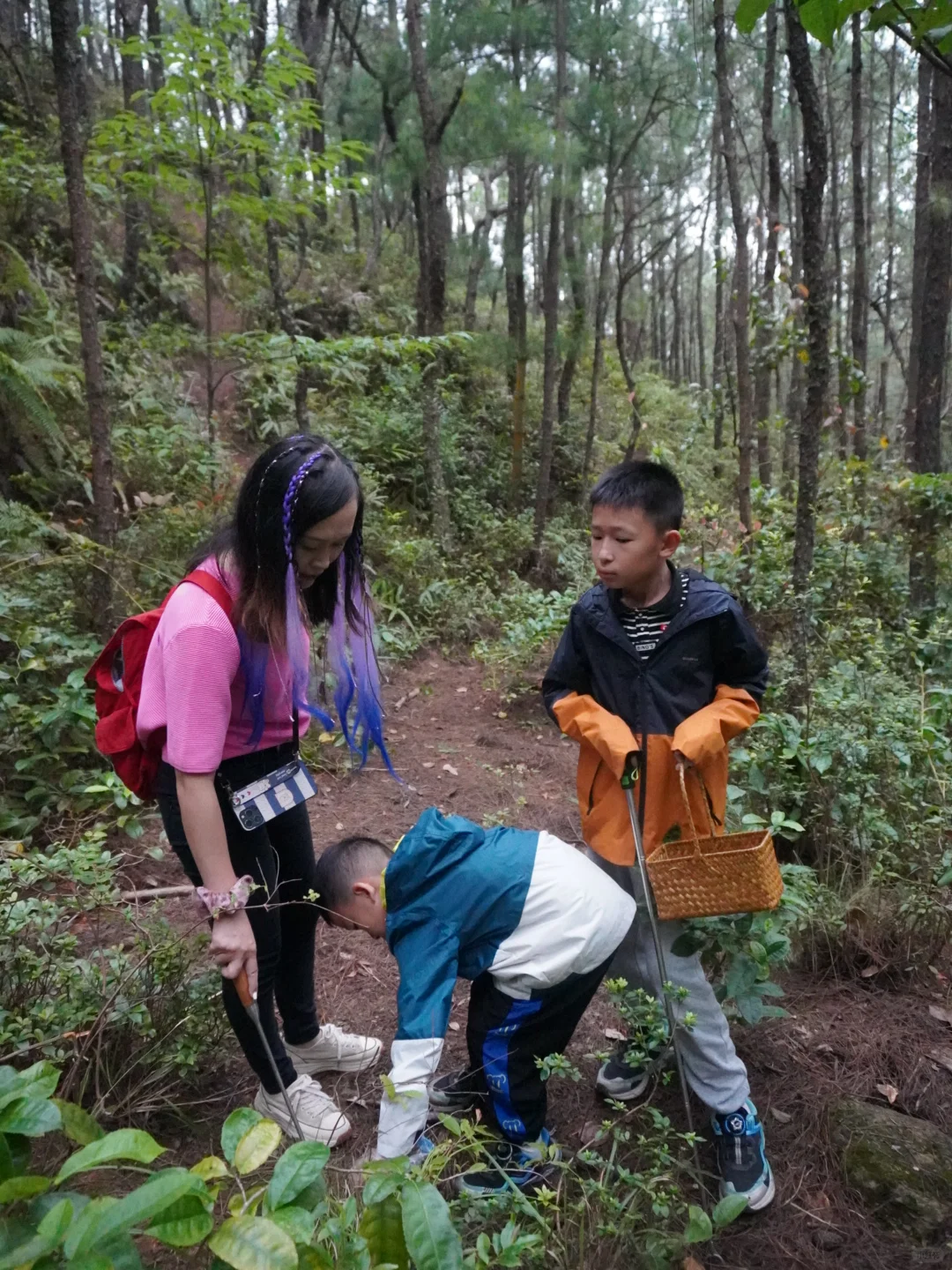 苍山徒步捡菌子 | 每天都是收获满满的一天