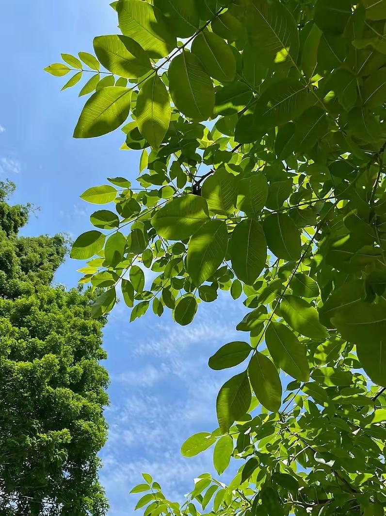 我发现了个特别真实的事：
不管是谁，
只要子女有出息了，
整个人的气场都不一样了