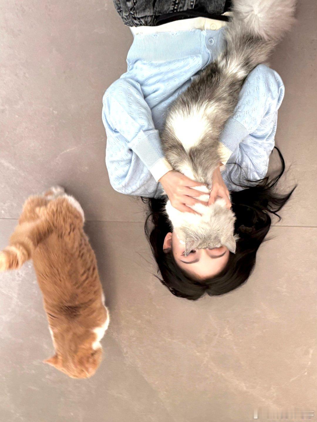 jjy鞠婧祎 jjy鞠婧祎姜黎非 小宝 你是世界上最棒的存在=˃ ᵕ ᵒ=✌︎！