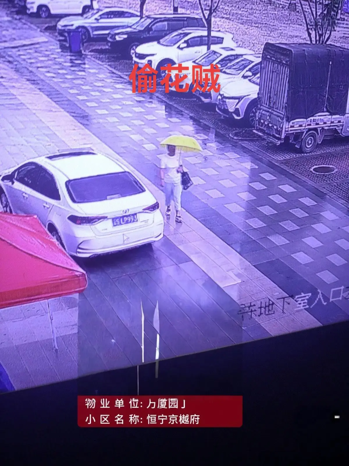 临翔区京樾府附近如果大家看见偷花大盗的大姐和偷水龙头🚰的男人请私信我谢谢