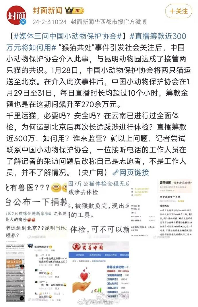 #昆明动物园2只猫已启程赴京# #媒体三问中国小动物保护协会#  #直播筹款近3