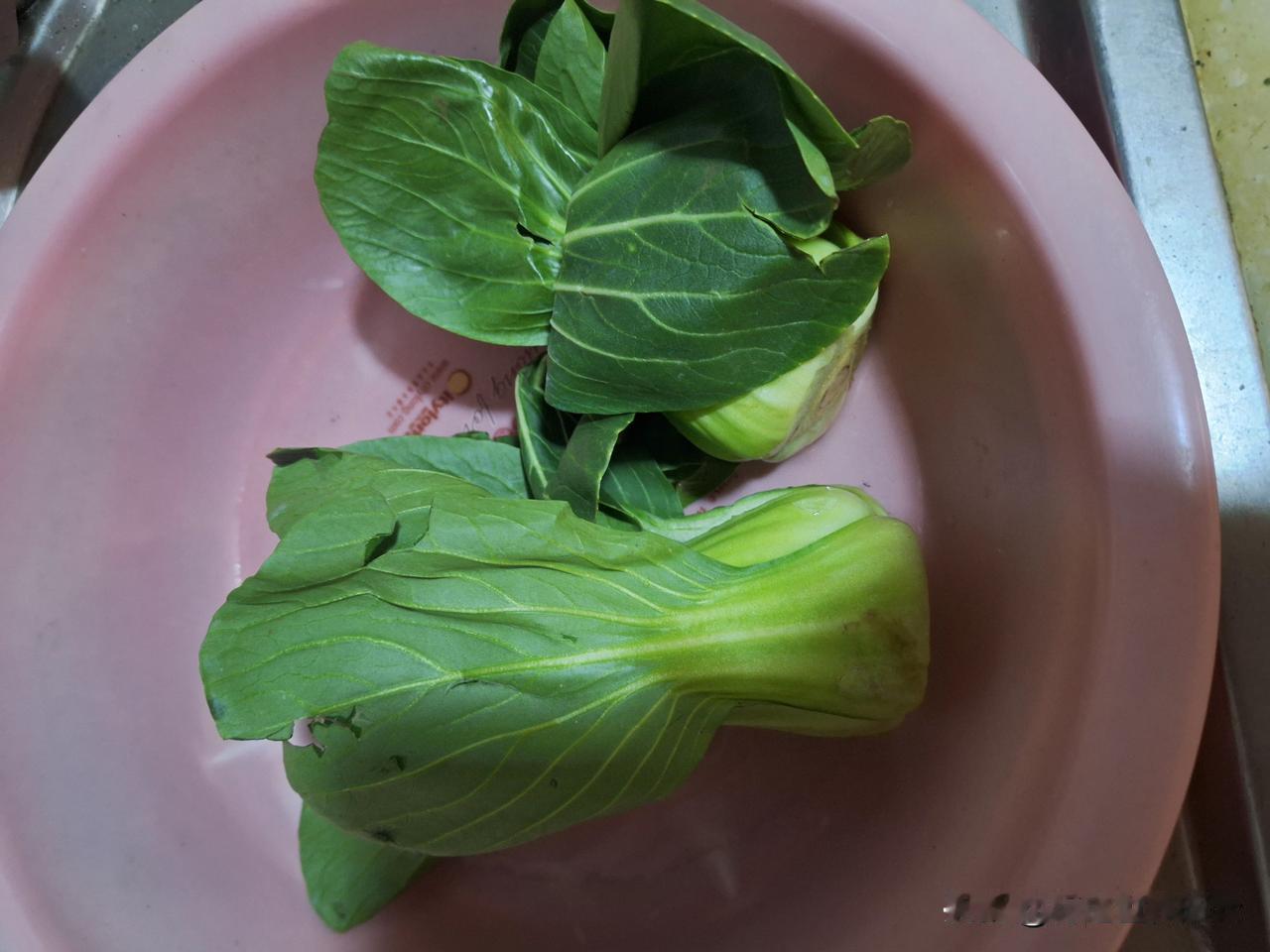 一个半小时，和面、调馅、擀皮、包、煮、吃，30个饺子下肚。
​上海青加虾仁加鸡蛋