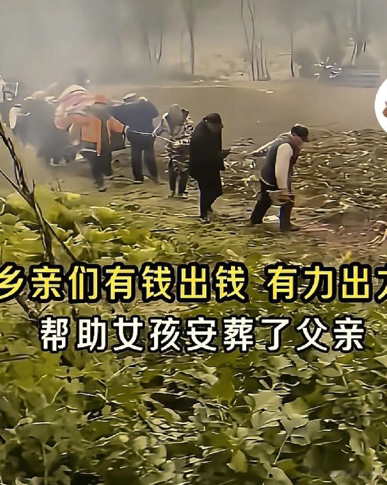 十七岁的女孩儿在送走母亲二十天后父亲也不幸离世。
乡亲们深夜听见女孩子报丧的鞭炮