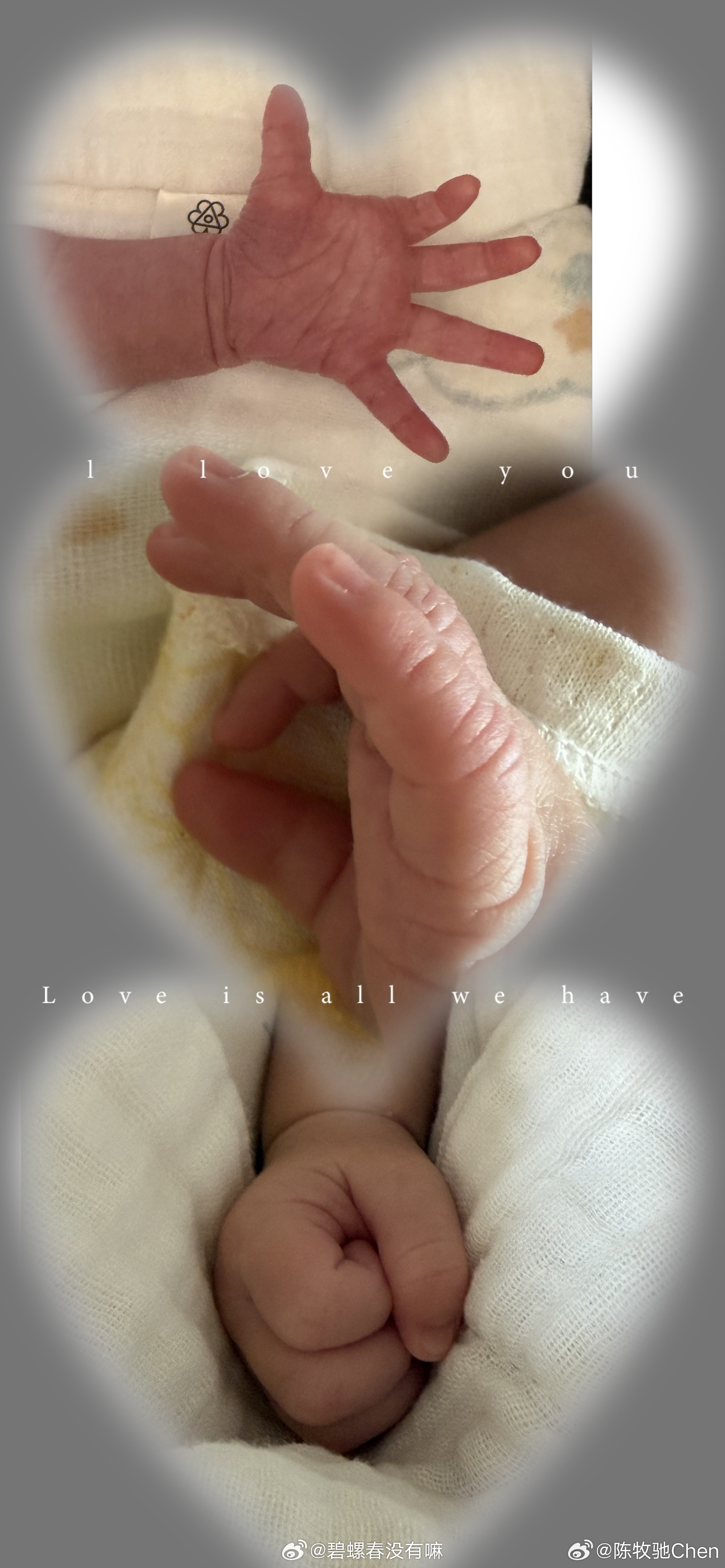 陈牧驰发长文回应与陈冰结婚生子并向大家介绍了家庭新成员还感谢了一路支持的粉丝 