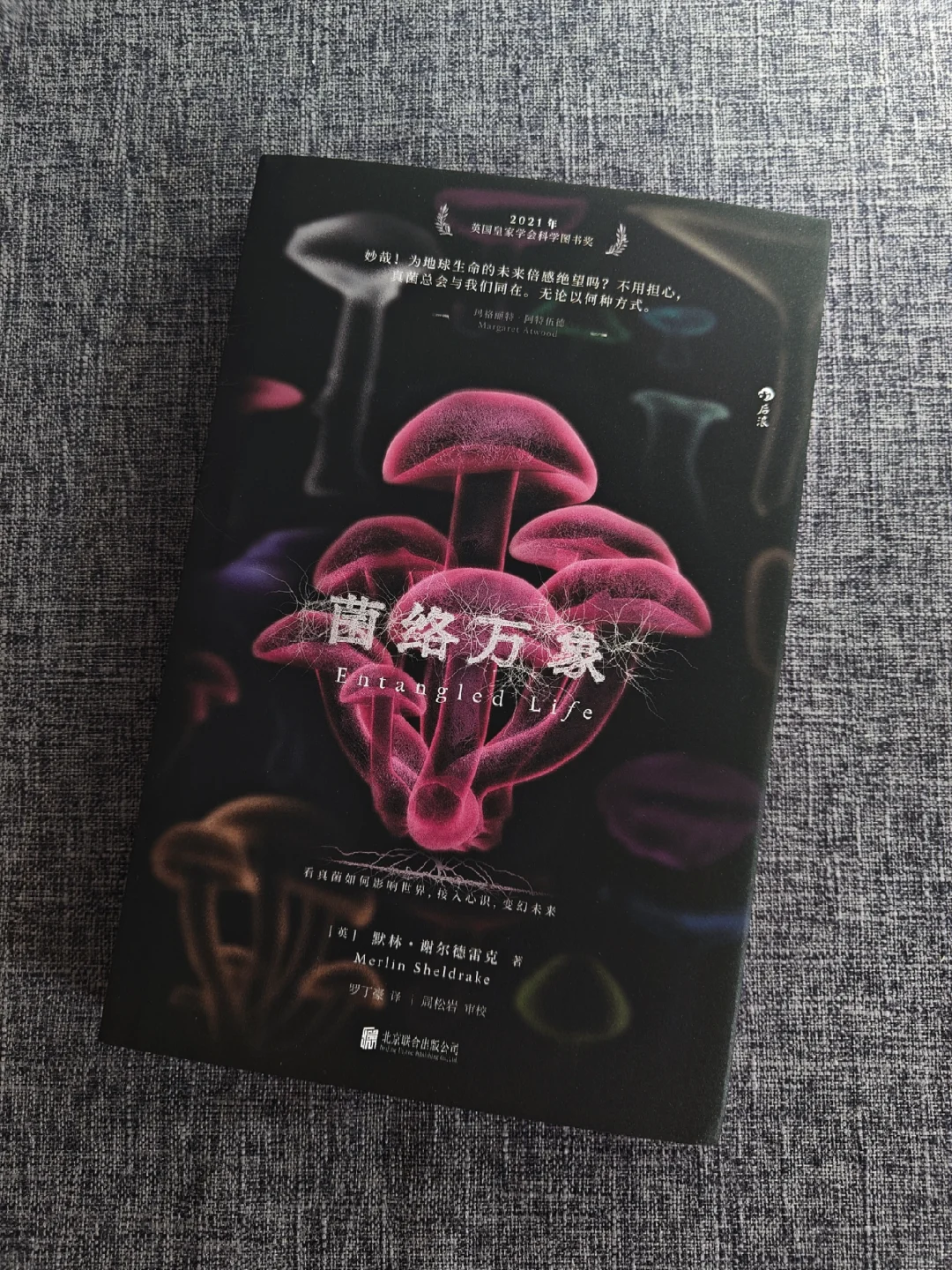 原来能吃只是蘑菇们最微不足道的特点