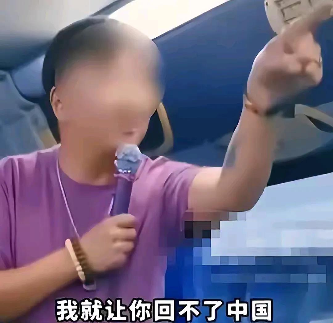 关于“黑导游李海被抓事件”的评论

近日，关于黑导游李海在泰国威胁中国游客一事引