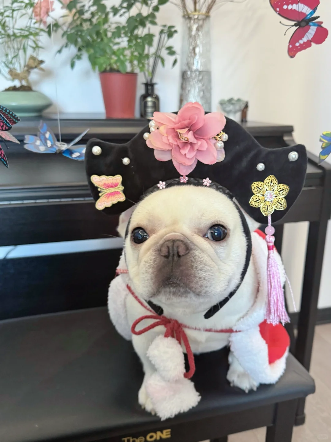 愿逆风如解意  容易莫摧残