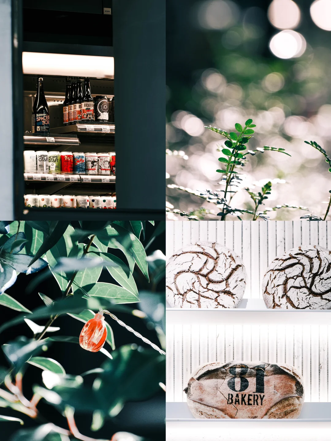 Fujifilm｜喜欢长焦扫街