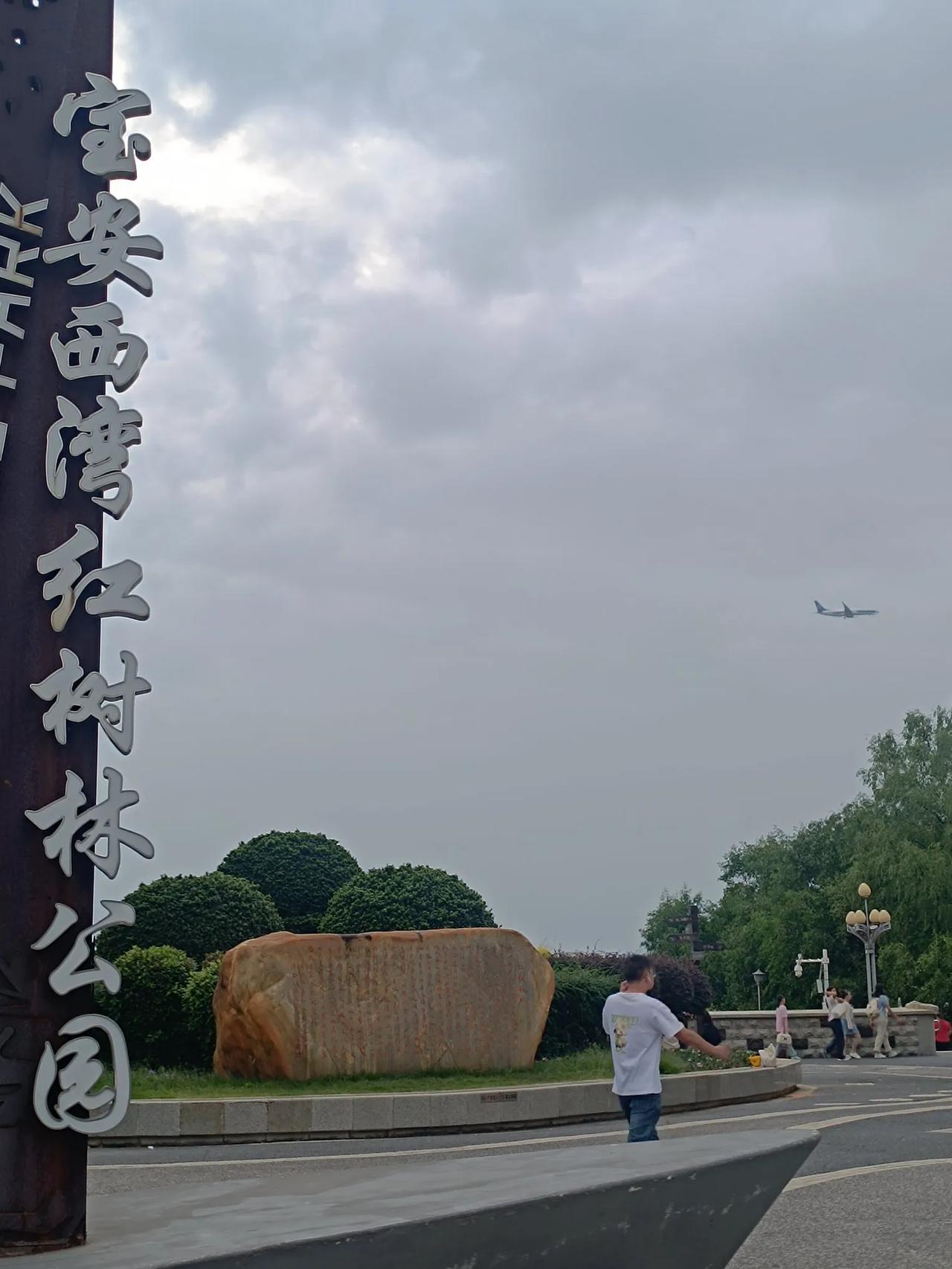  
红树林公园，
绿意盎然，
漫步其中，
感受自然之美。
#宝安新城景#