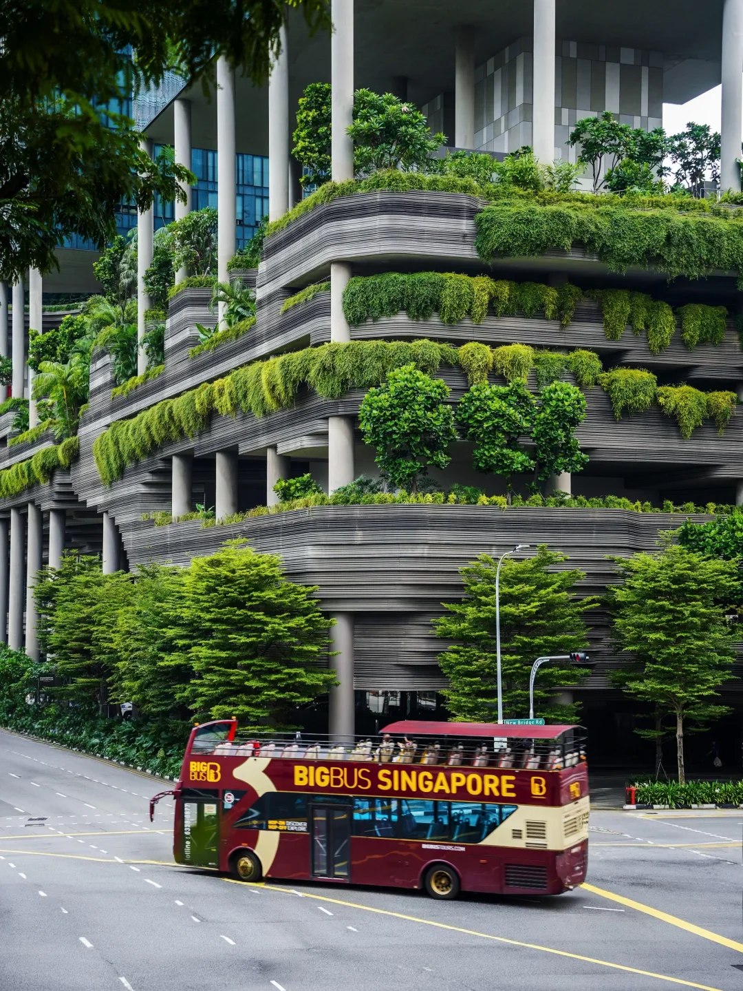 为了这⑱张人生照片🇸🇬也一定要来趟新加坡
