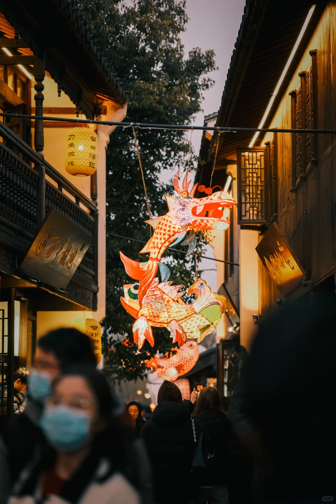 Fujifilm｜元宵快乐🏮