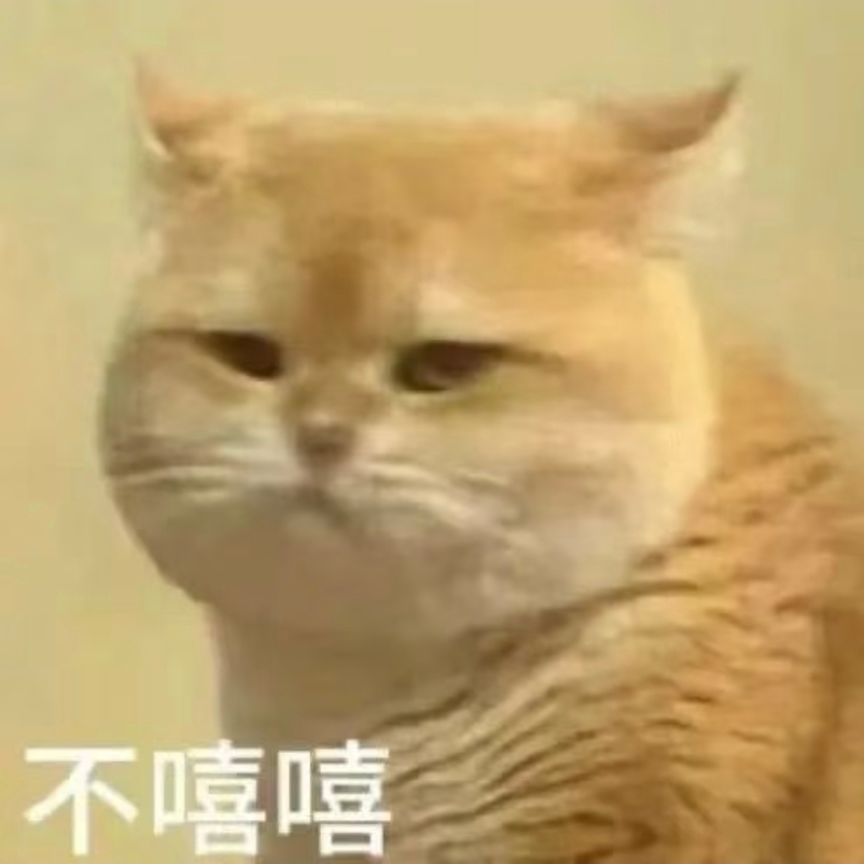 嘻嘻vs不嘻嘻 