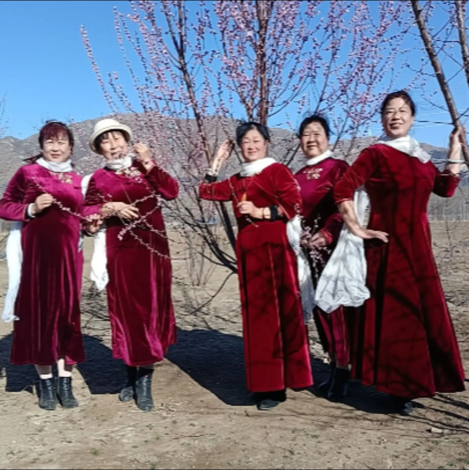 春日阳光下站谁都美 春已至花已开