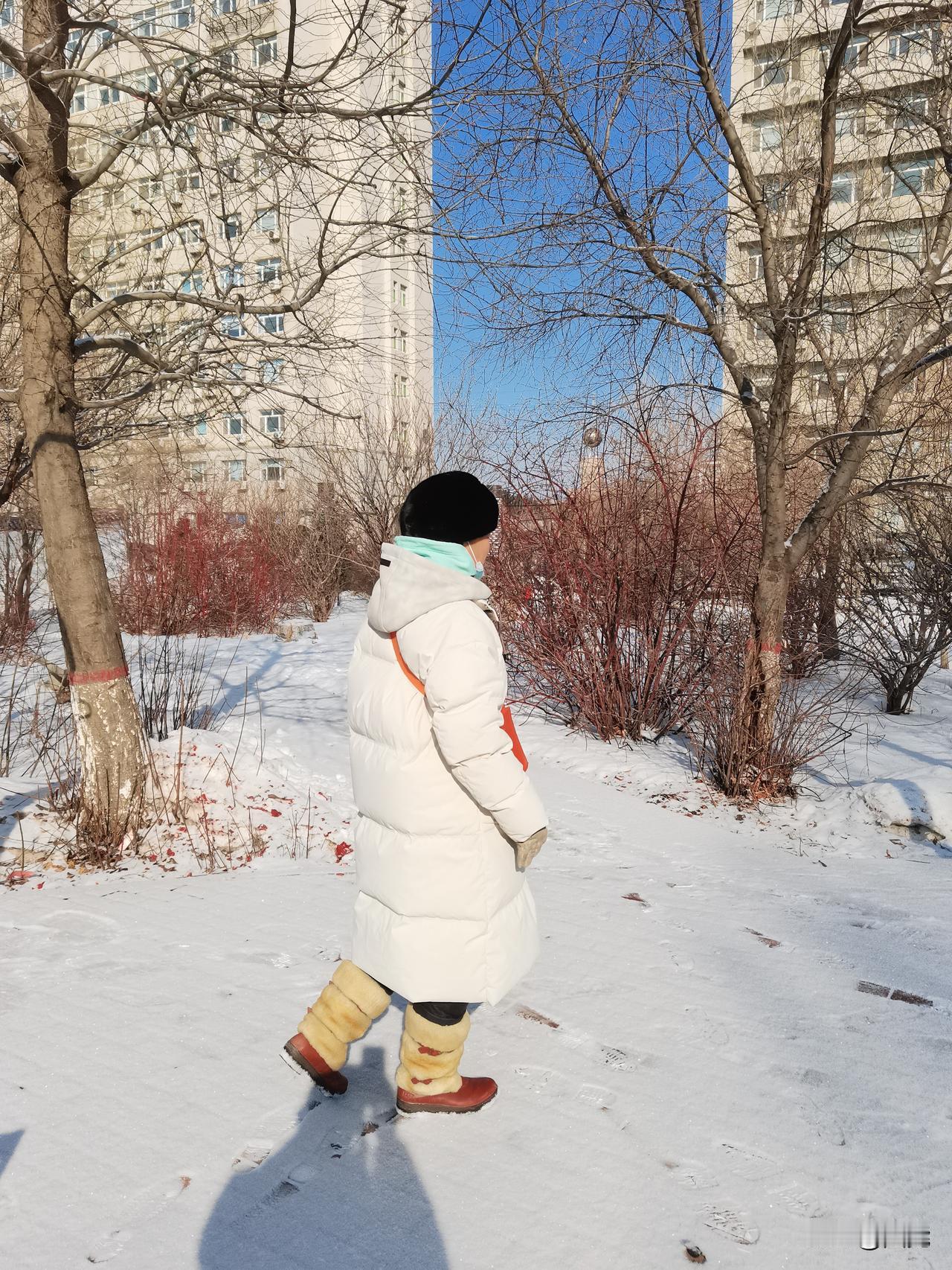 冬日生活，是主动为寒冷季节赋予温暖与光芒。这并非逃避，而是以细腻的触角，去拥抱季