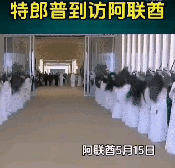 这欢迎仪式有点东西啊