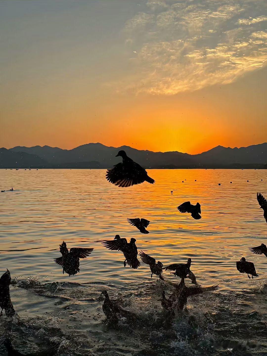 夕阳西下，群鸟归巢，湖面波光粼粼，美不胜收。