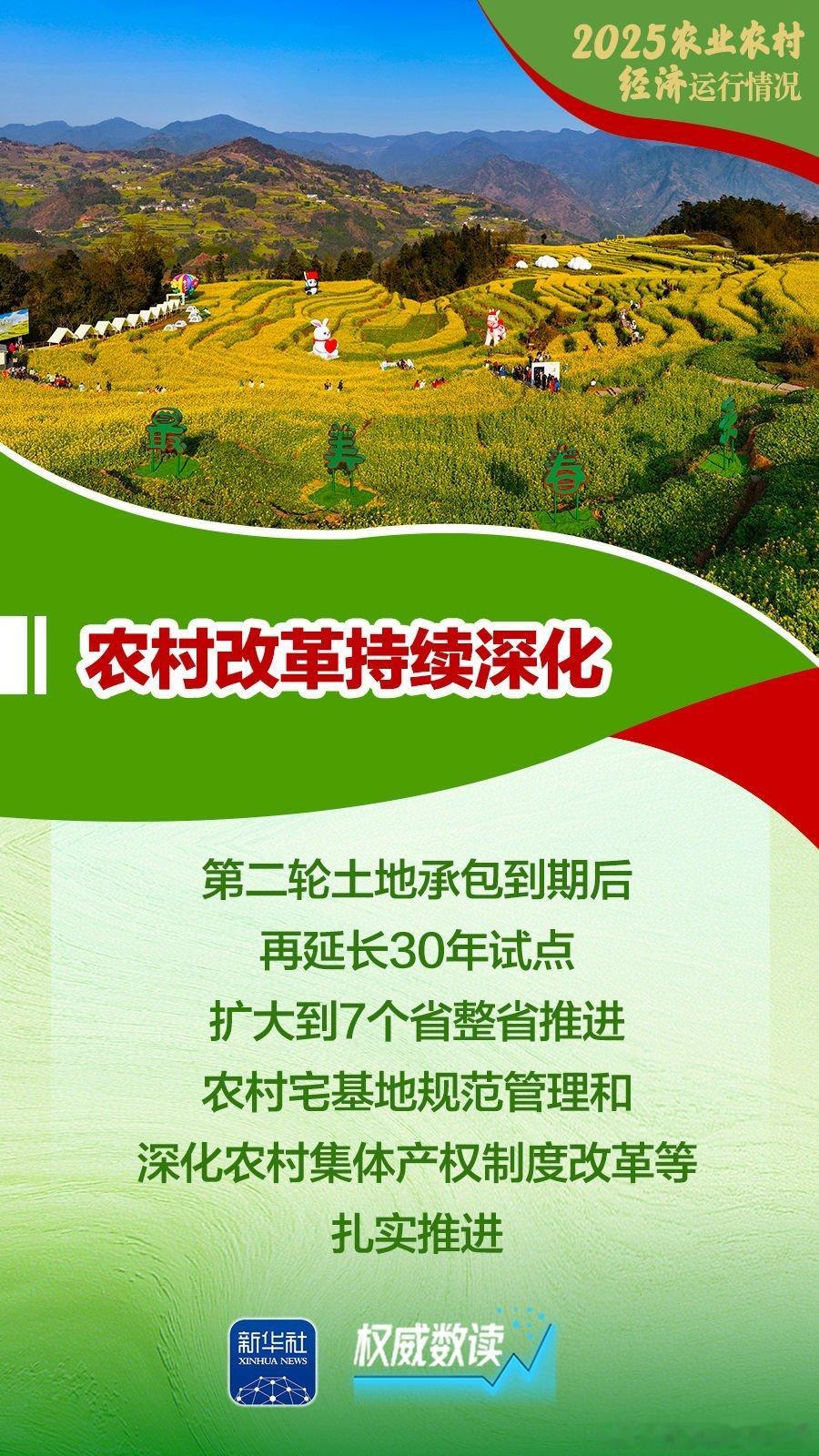 权威数读｜增产、增收、增强！2025农业农村经济运行“成绩单”来了！全国粮食产量