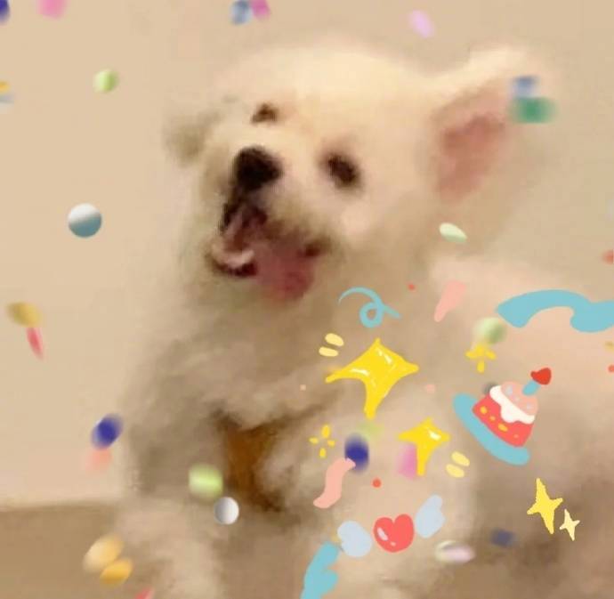 “有一天 你也会被大大方方的偏爱” ​ ​​​