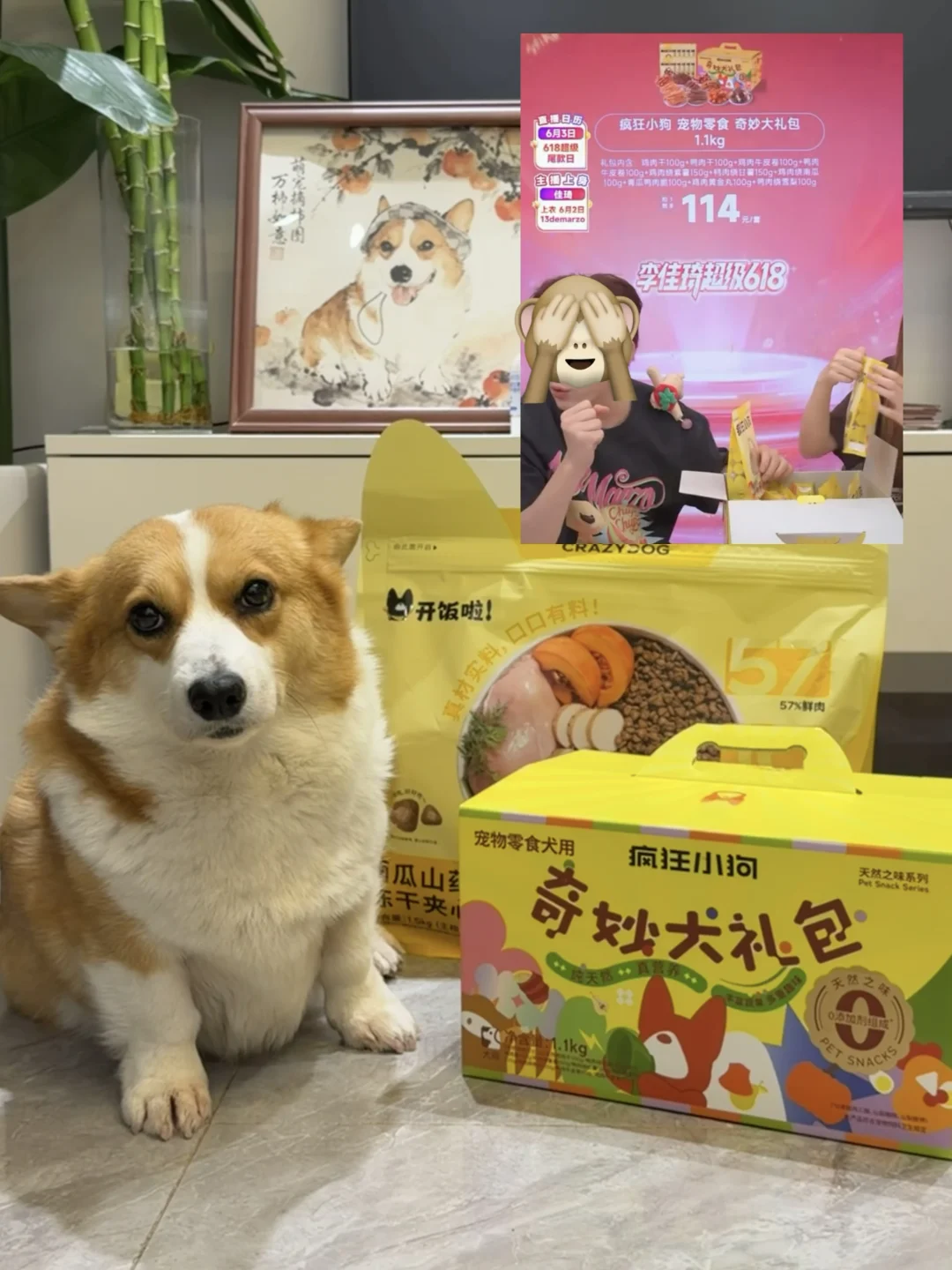 这个小狗零食大礼包 何不甜直接给到夯👍