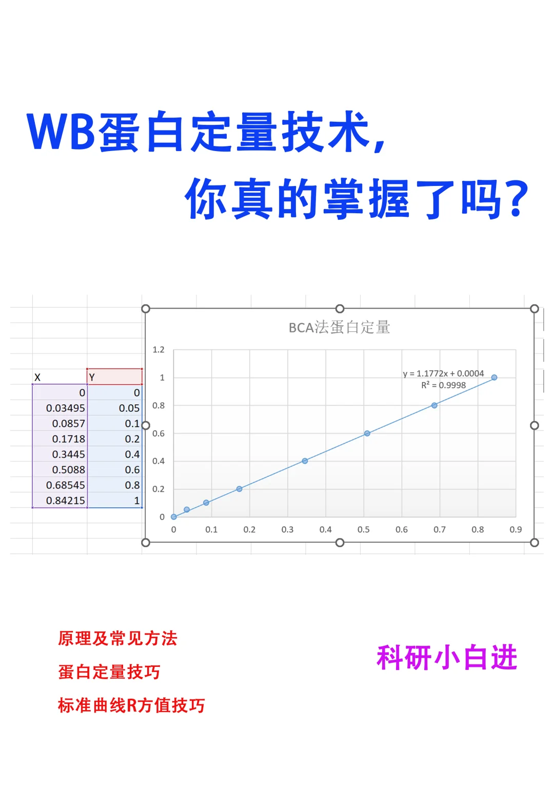 wb蛋白定量，你真的会了吗？