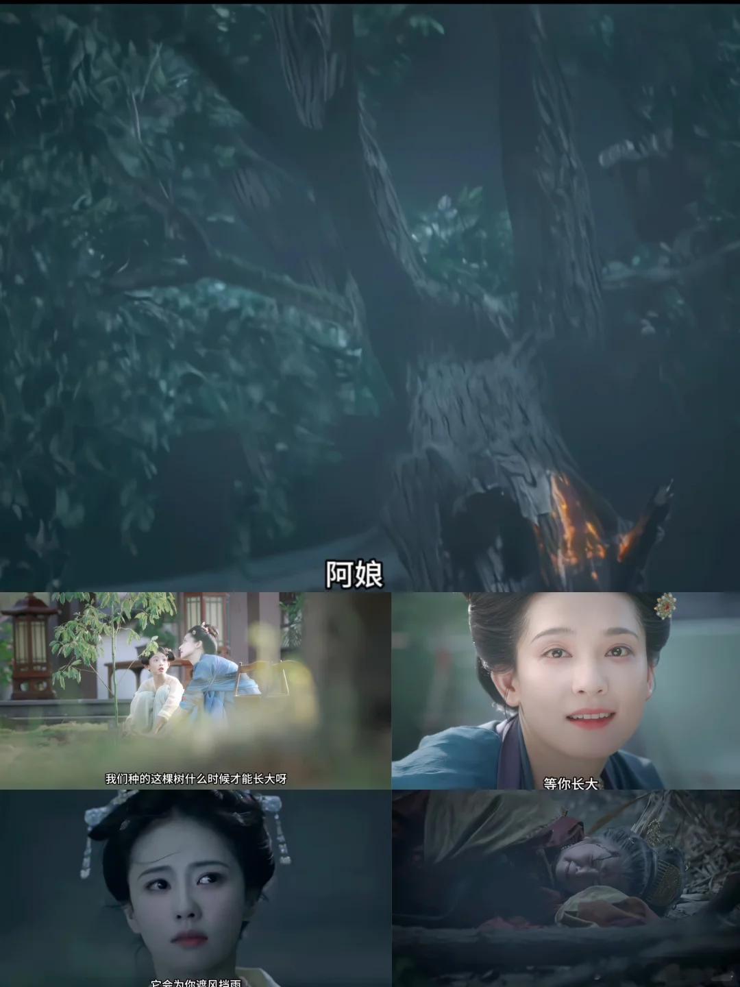 莫离大虐 亲爹一家害了亲妈这种剧情谁顶得住啊，叶璃那个眼神我到现在都缓不过来莫离