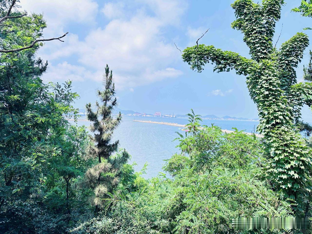 去之前没有做攻略，想着是山，对于我这样的懒人，是不想动的，于是15元购买了往返摆