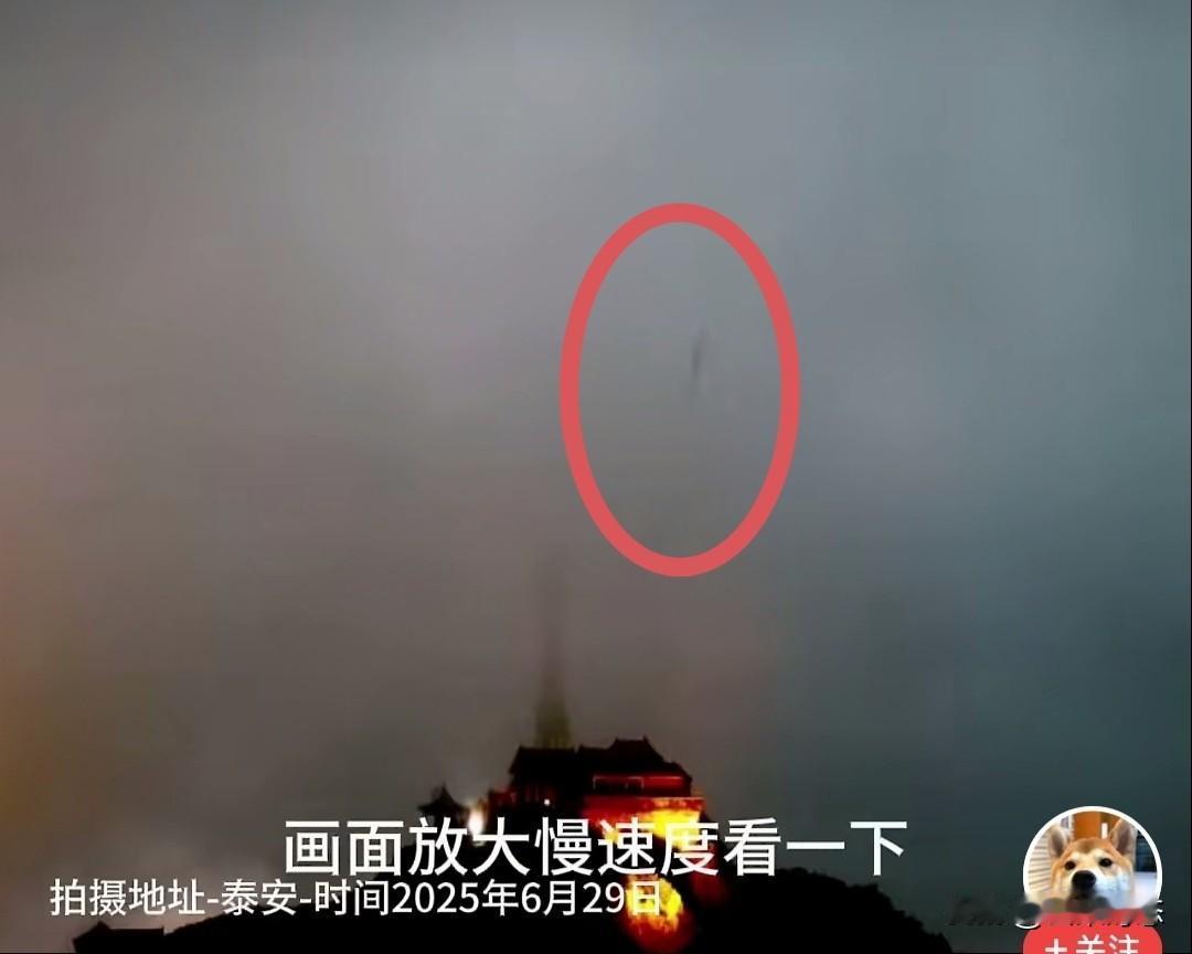 经常看见龙的网友说：
现在出现的大部分是黑龙。
还有的网友说：
被一条龙服务过[