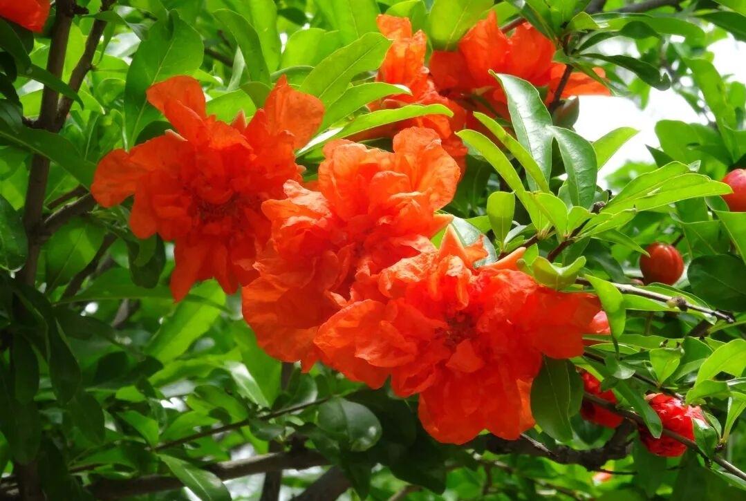 记录我的2026天天忙得很，可是什么好处也得不到不知道现在领导为什么都不能看着休