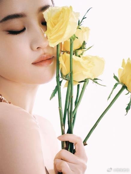 即将颁出的“白玉兰奖”最佳女主角提名名单中，有仙女姐姐刘亦菲；90话演技代表杨紫