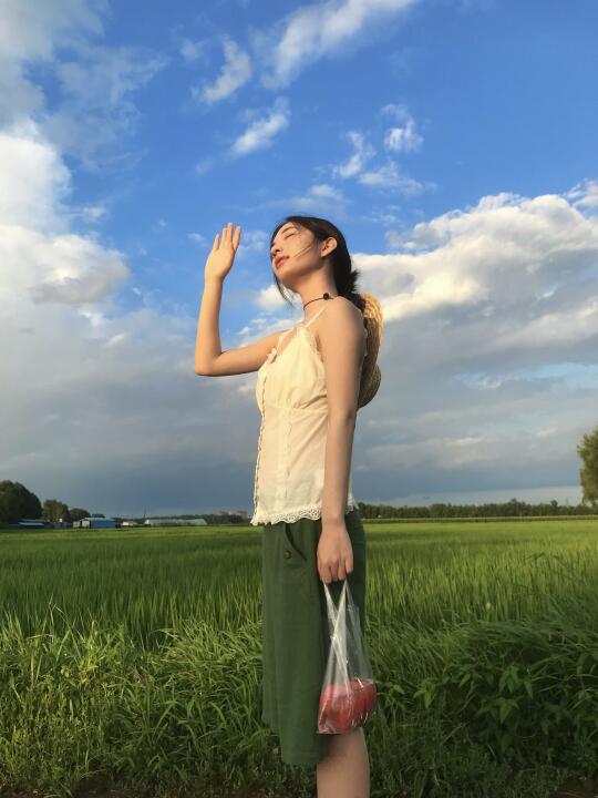 雨过天晴后的稻田 空气都是清新的味道