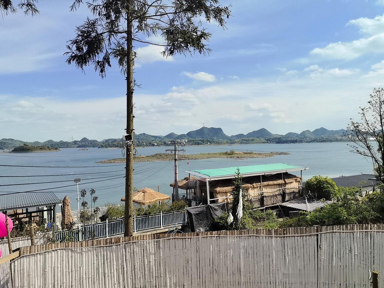 春风一吹，万物可爱。今天一头扎进了公园的春天里，满眼都是治愈的绿色和粉色。阳光正