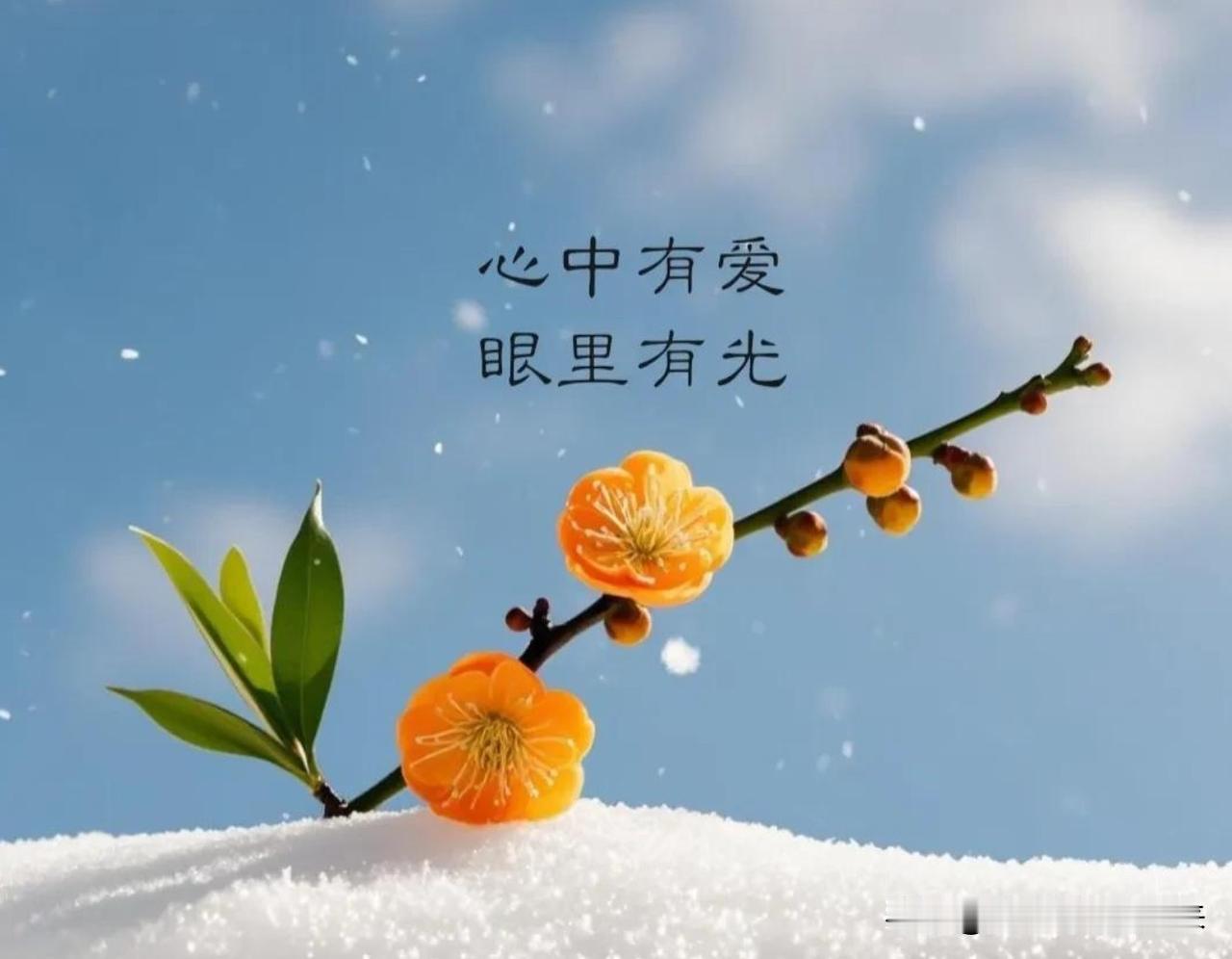 人生感悟（103）：已写1700篇，完成目标的57%！

昨天看了@蘑菇也疯狂《