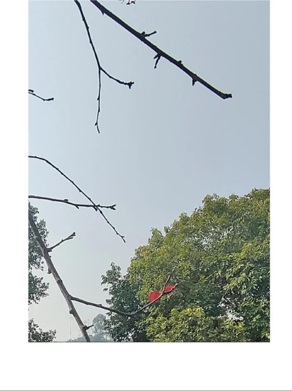 晒图笔记大赛