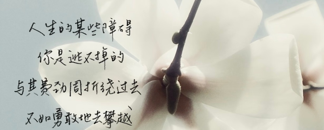人生的某些障碍你是逃不掉的与其费劲周折绕过去不如勇敢地去攀越/宫崎骏 