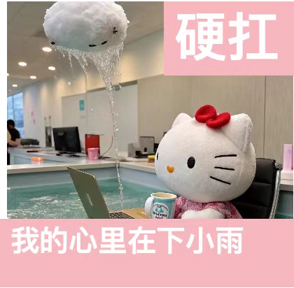 养猫真的痛并快乐着🥰撸猫一时爽，猫毛漫天飞就直通火葬场🤦♀️一到秋天浮毛满天