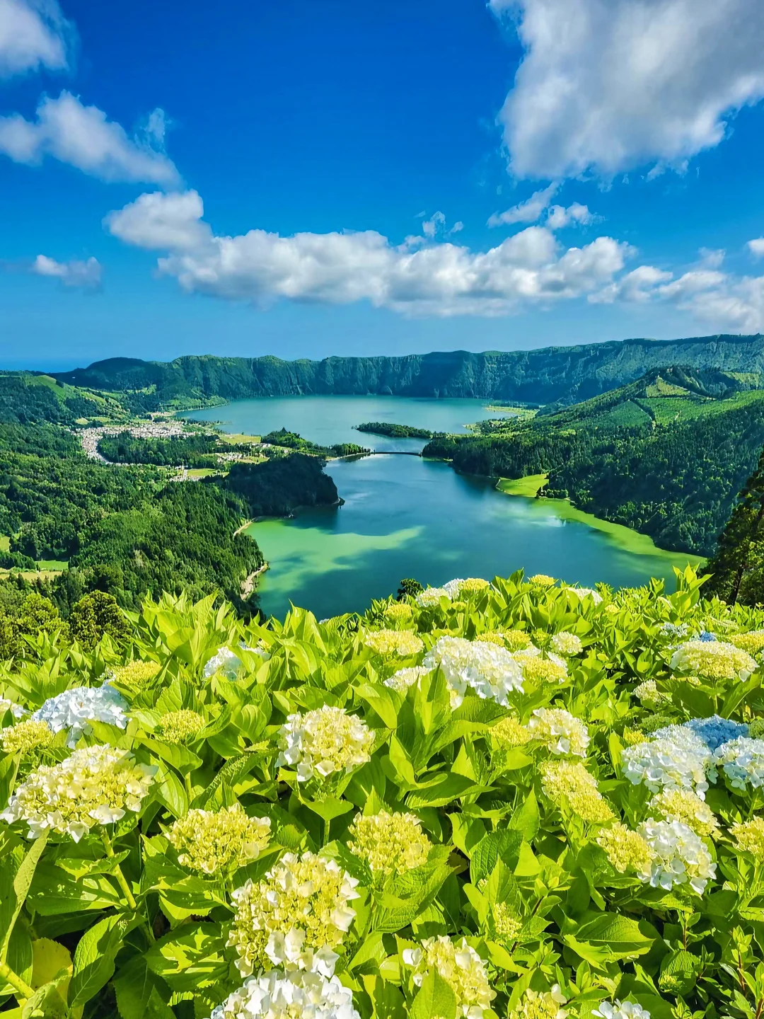 葡萄牙仙境Azores🌺欧洲夏威夷名不虚传！