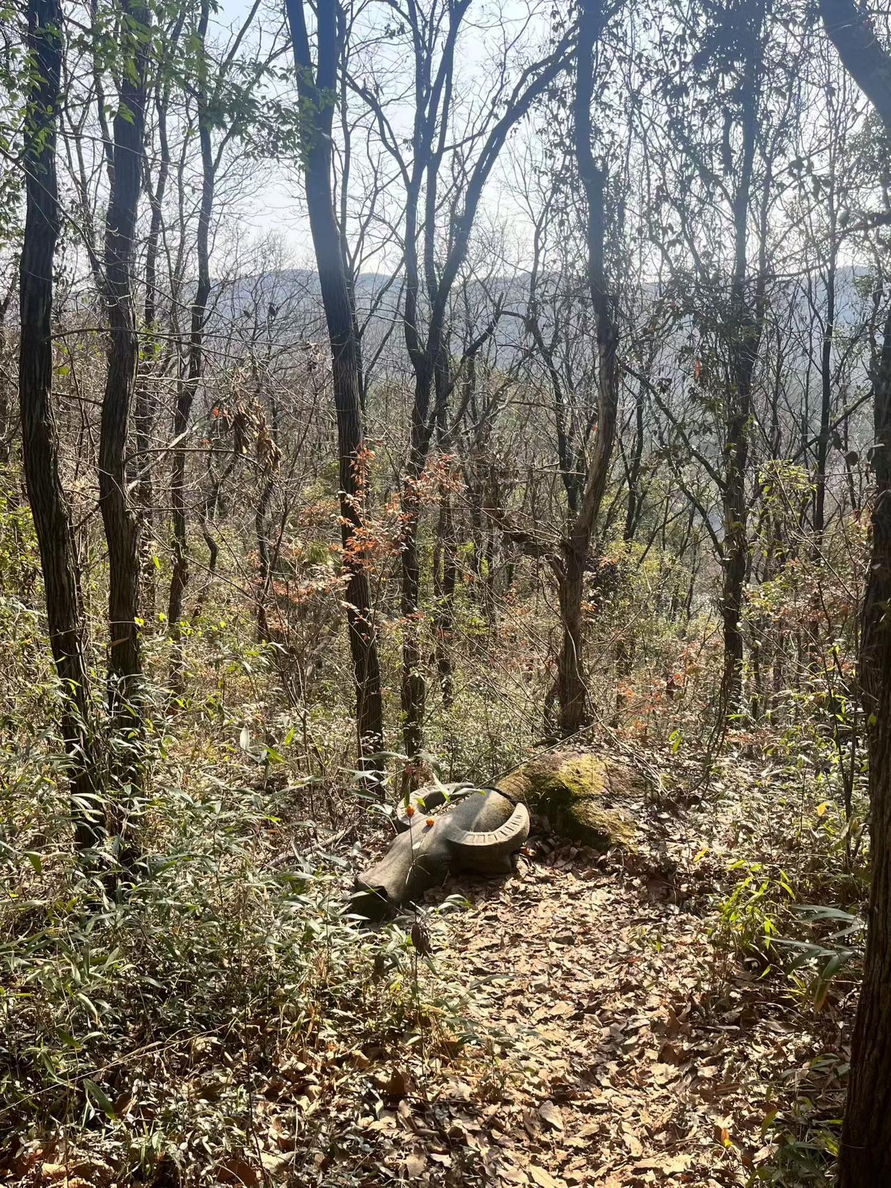 ☀️
美好的一天开始啦！

今天也别忘了做个“有光的人”，不必耀眼，但要温暖。