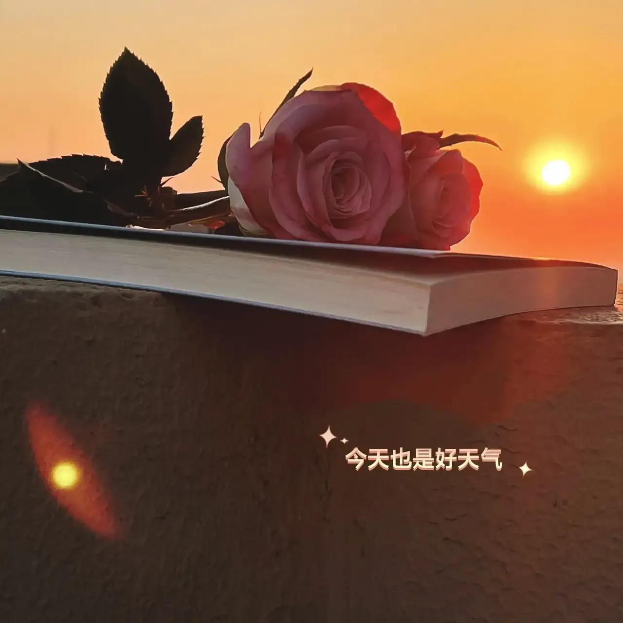 很多女人在婚后总是很容易被冷落和孤立，毕竟婚姻和恋爱不同，少了很多激情和欢乐。
