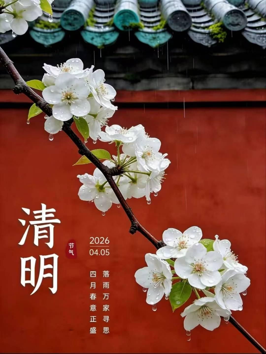 雨落清明，春风拂柳，在春光里与旧时光温柔重逢。愿故人安好，愿我们向阳而生。🌿