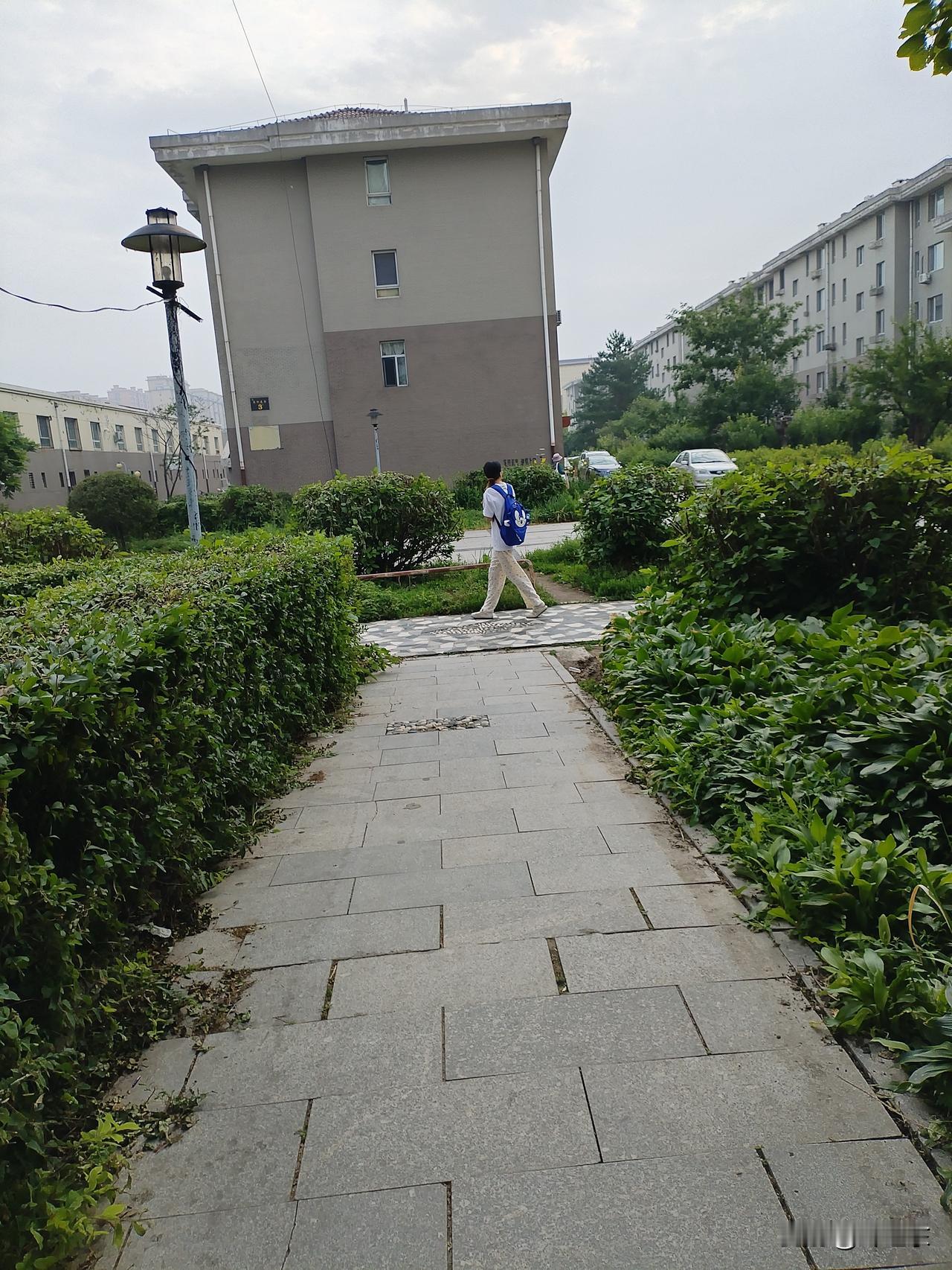 对于未来房价的市场走势，一线的城市房价会有反弹，三四线城市仍然会趋于下降的趋势。