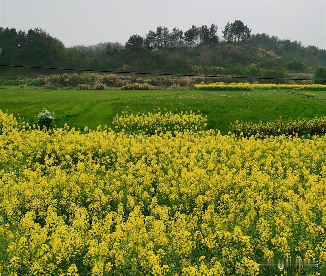 我们老家的风俗是，新坟不过社，意思是去世头三年的亲人，要在春社前祭拜。春社日是立