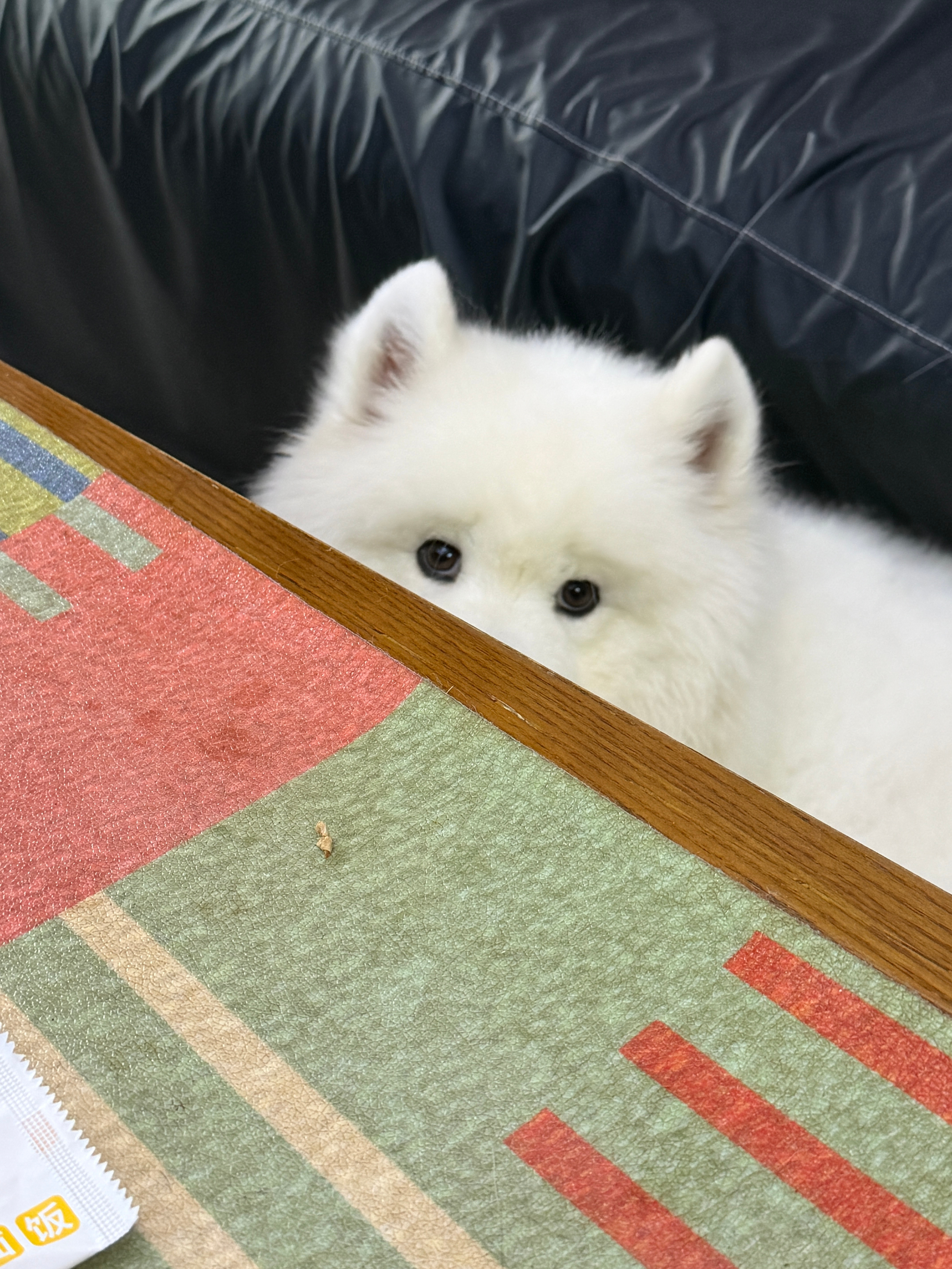 吃饭中。 
