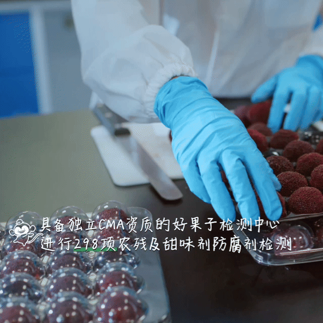 原来杨梅是这么努力的水果果农凌晨摸着露水选果，冷链车裹着冰袋一路狂奔，店员在柜台
