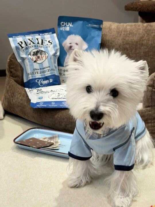 五月购物分享！小狗有话说