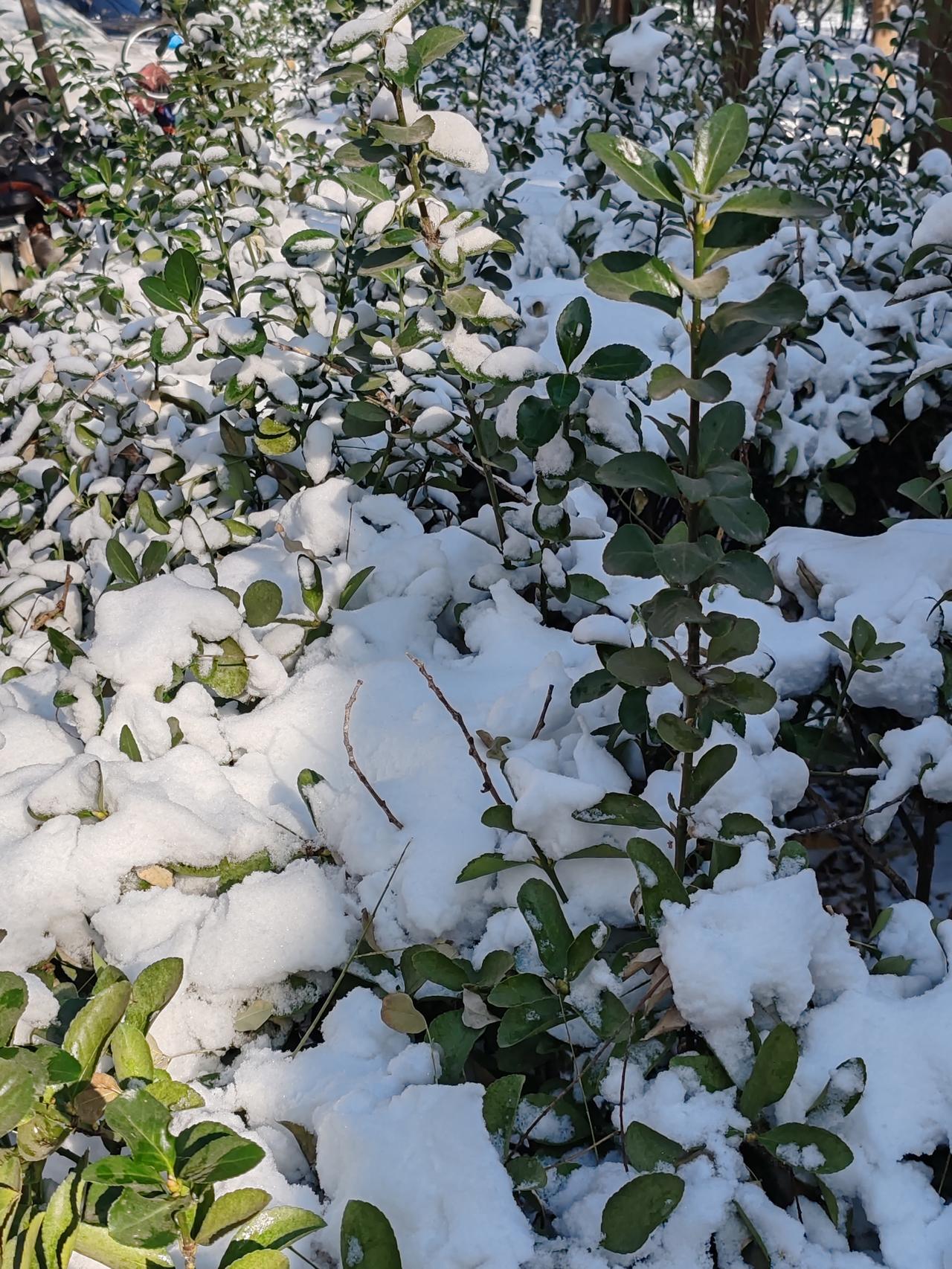 烟雾缭绕背后，是难以挽回的未来。可当下的痛苦与焦虑，又该如何缓解？倘若有行之有效