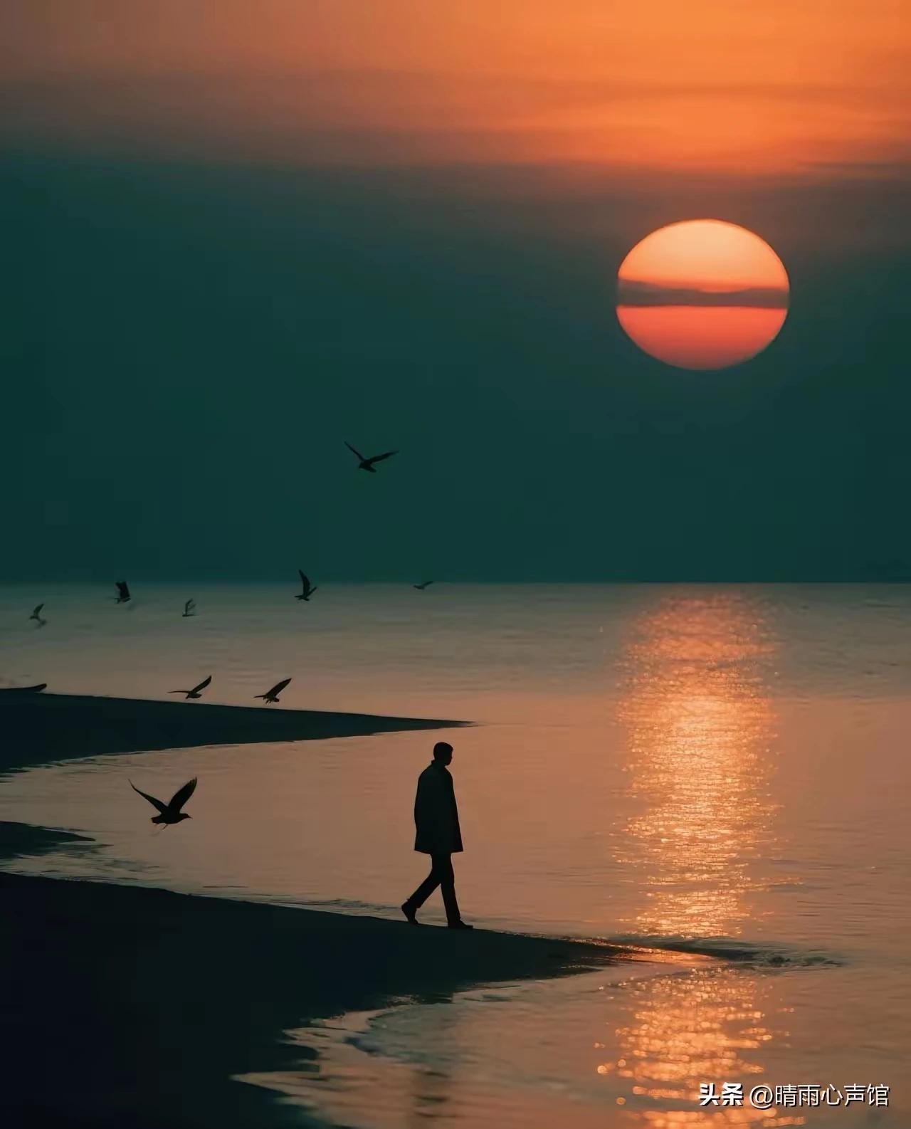 明知夕阳留不住
却为夕阳唱赞歌。
最美不过夕阳红，
温馨又从容。
夕阳是纯美的酒