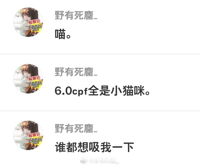 可是我觉得很贴切啊喵。