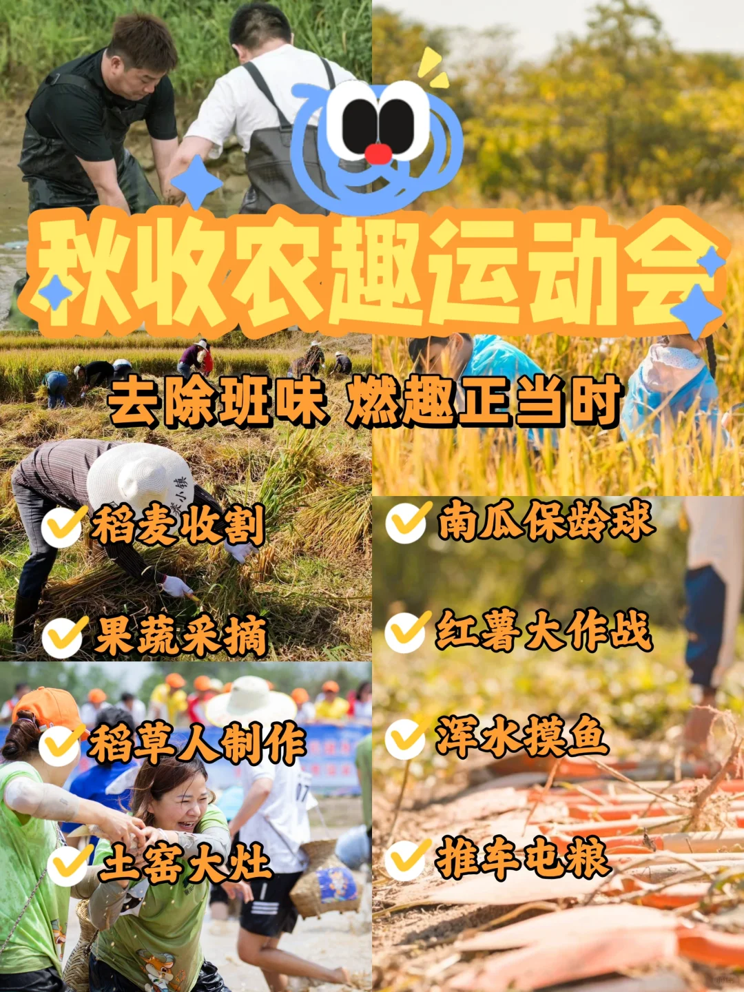 南京秋收农趣活动🌾体验把不一样的秋季团建