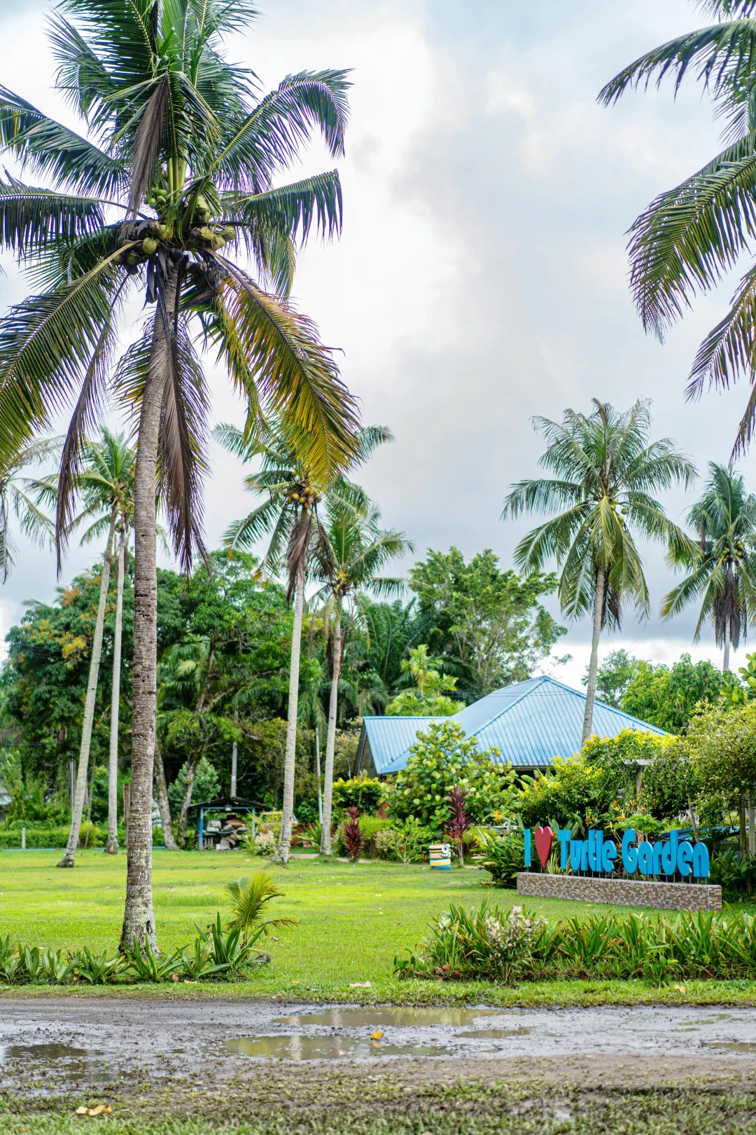 亚庇红树林怎么选？这有一份海龟苑亲测分享