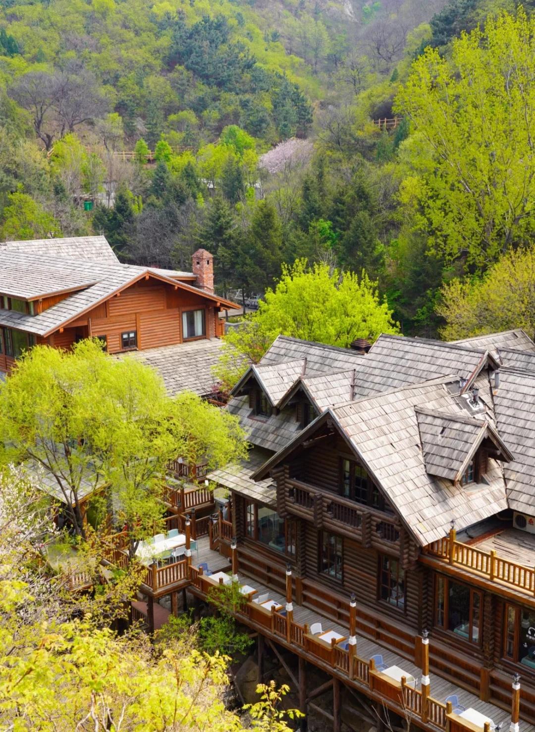 济南踏青｜静待四月花海🌿
泉城回暖，周末踏青安排上！
气温直冲20℃+，山野正